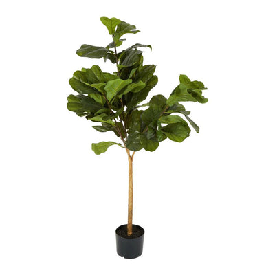 Pack of 2 x Fiddle Leaf Tree Real Touch 1.32m