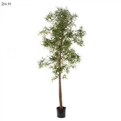 Artificial Olive Tree 2m - House of Isabella AU