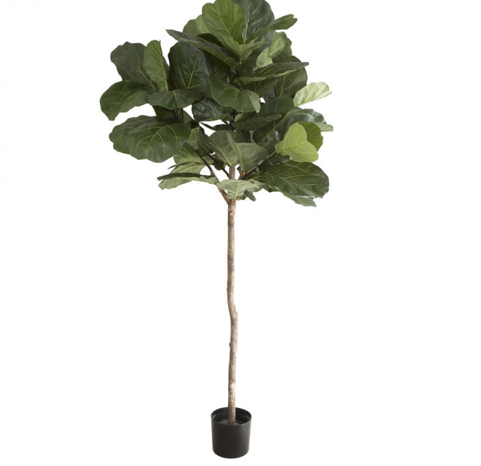 Artificial 215cm Fiddle Leaf Tree w/61 Lvs