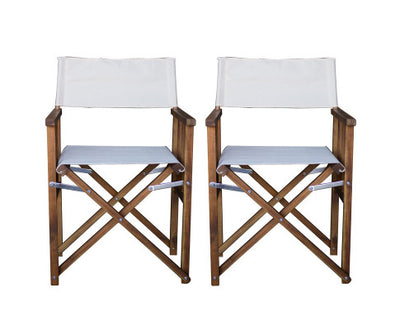 Set of 2 director chairs