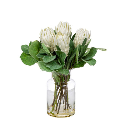 White Protea in Toby Vase Sml