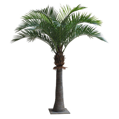 Coco Palm 2.2m 16 Fronds 1072 Lvs