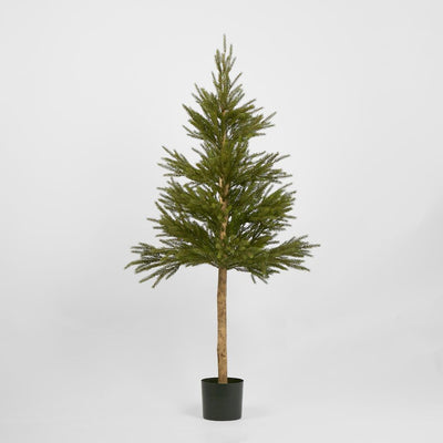Scandi Spruce Tree 150cm