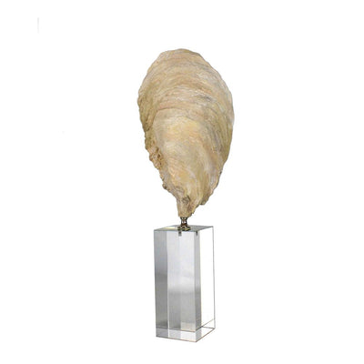 Oyster Polyresin Sculpture Large