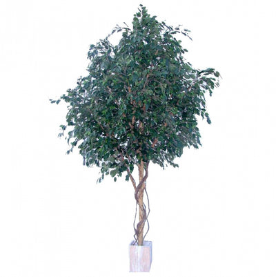 Artificial Ficus Exotica Giant Tree 6600 Lvs 3.05M - House of Isabella AU