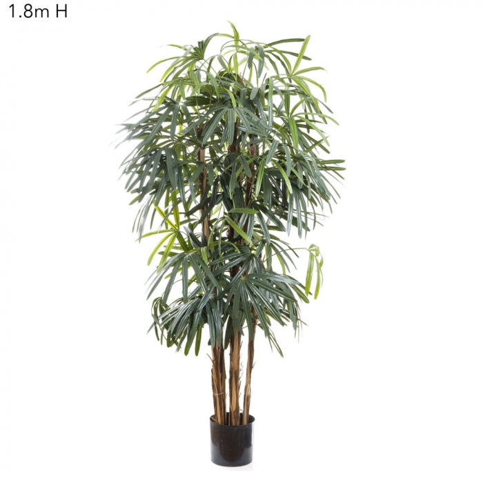 Artificial Raphis Palm (Thin Leaf) 1.8m - House of Isabella AU