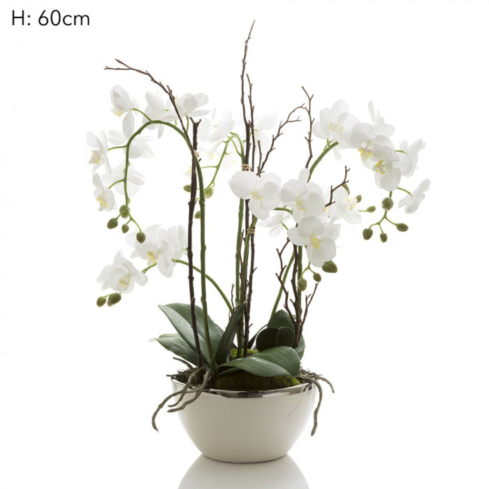 Artificial Orchid R/Touch in Wht Pot Silver Rim - House of Isabella AU