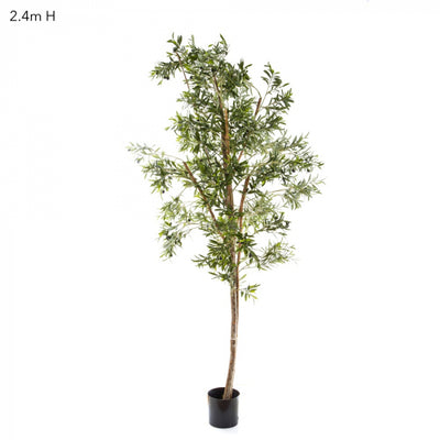 Artificial Olive Tree W/4472 Lvs 2.4m - House of Isabella AU
