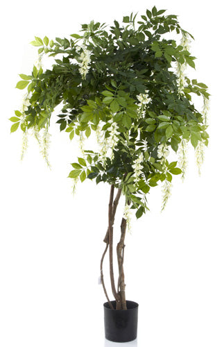 Artificial Wisteria Tree 1.9m - White - House of Isabella AU