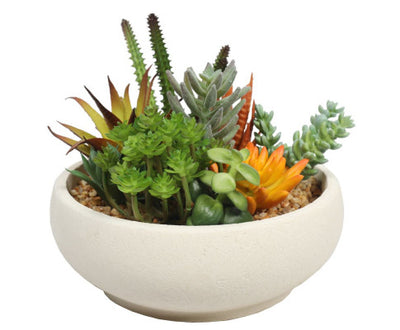 Potted Artificial Succulent Bowl with Natural Stone Pot 21cm
