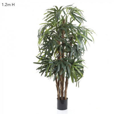 Artificial Raphis Palm (Thin Leaf) 1.2m - House of Isabella AU