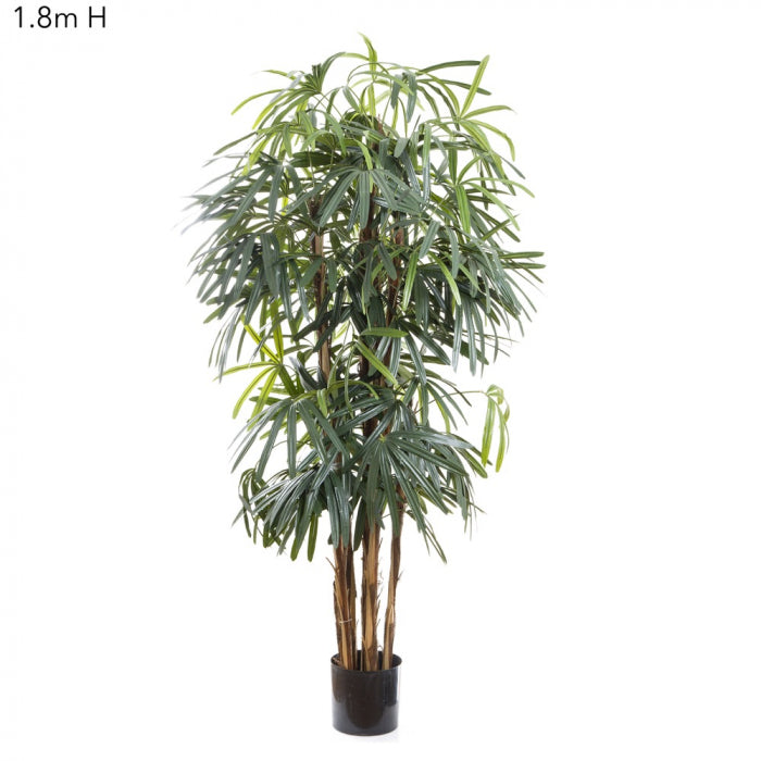 Artificial Raphis Palm (Broad Leaf) 1.8m - House of Isabella AU