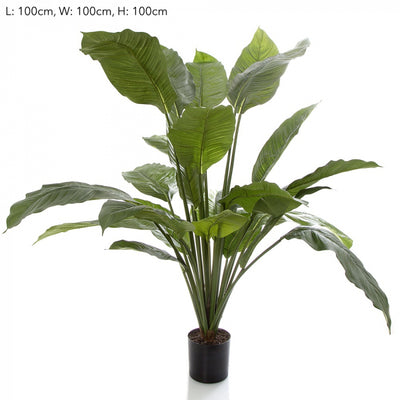 Artificial 100cm Spathiphyllum Potted 24 - House of Isabella AU