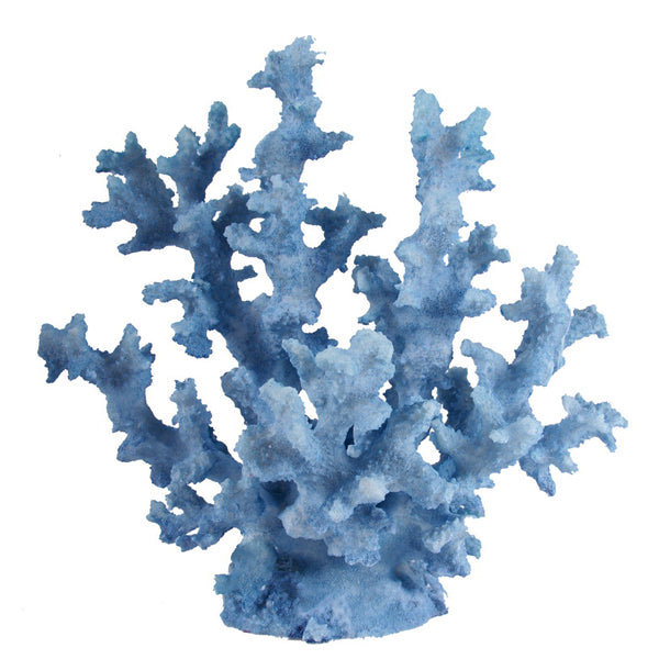 Coral Blue Seaweed