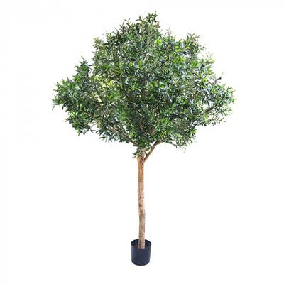 Artificial Giant Olive Tree 2.3m w/13728 Lvs 180 Fr - House of Isabella AU