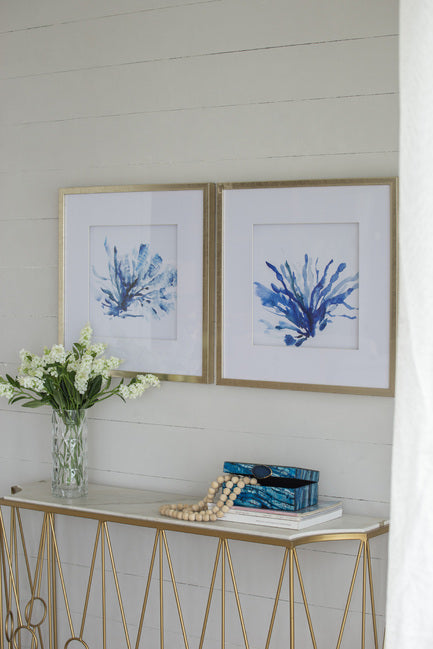Set of 2 Blue Coral Framed Prints