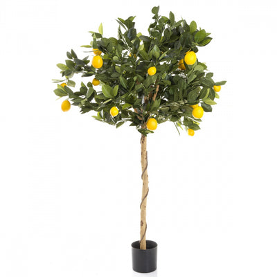 Artificial Golden Lemon Tree 90cm - House of Isabella AU