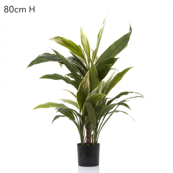 Artificial Cordyline Tree x7 70cm - House of Isabella AU