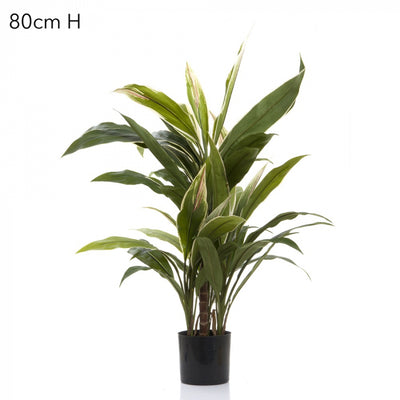 Artificial Cordyline Tree x7 70cm - House of Isabella AU