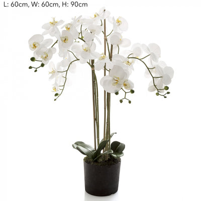 Artificial Orchid in Paper Pot Med White - House of Isabella AU