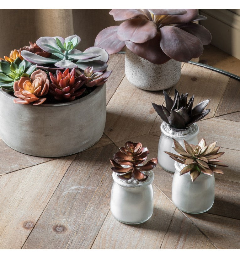 Artificial Potted Succulent Metallic Set of 3