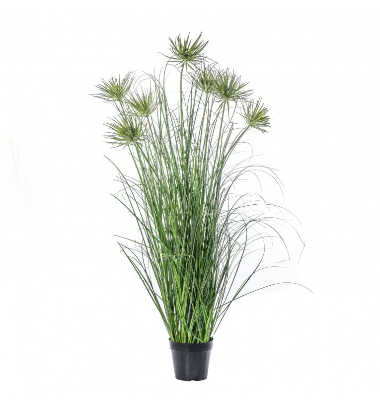 Courtnauld Grass with 7 Flowers