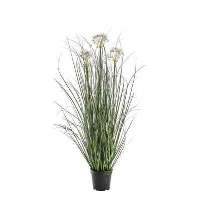 Potted Grass with 4 Heads White