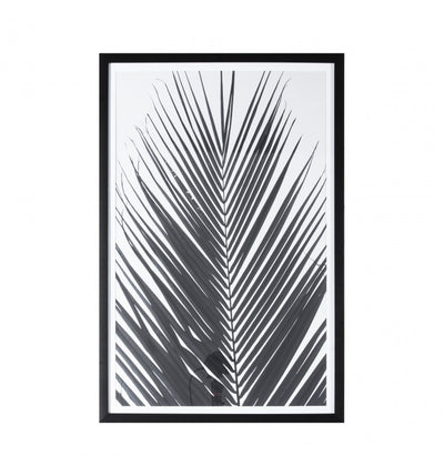 Monochrome Palm Framed Art