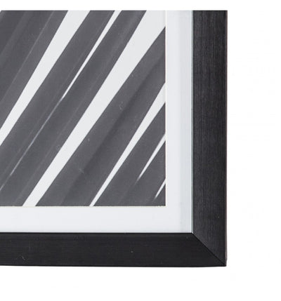 Monochrome Palm Framed Art