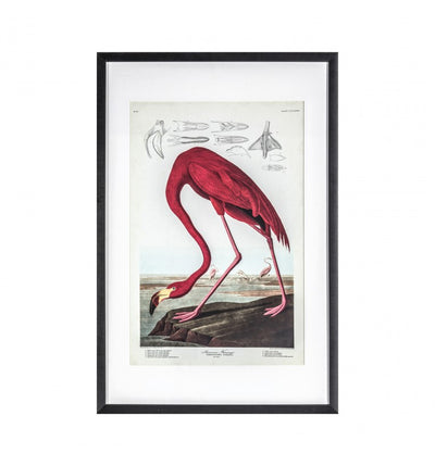 Peacham Flamingo Framed Art