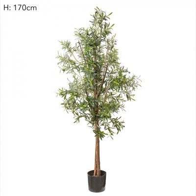 Artificial Olive Tree 1.7m - House of Isabella AU