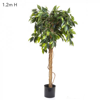 Artificial Ficus Ball Tree 1.2m - House of Isabella AU