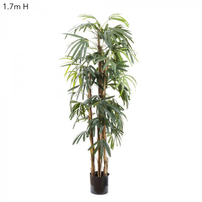 Artificial Raphis Palm (Thin Leaf) 1.7m - House of Isabella AU