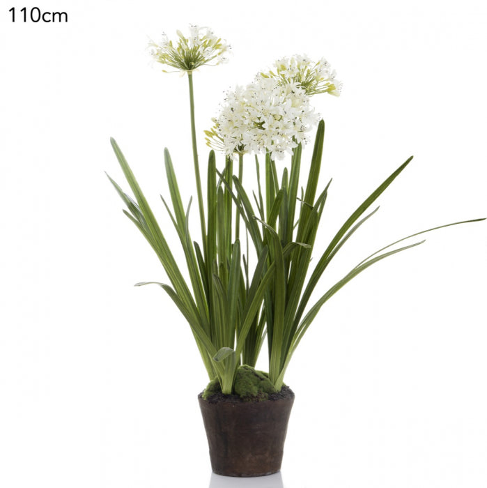 Artificial Agapanthus in Paper Pot White - House of Isabella AU