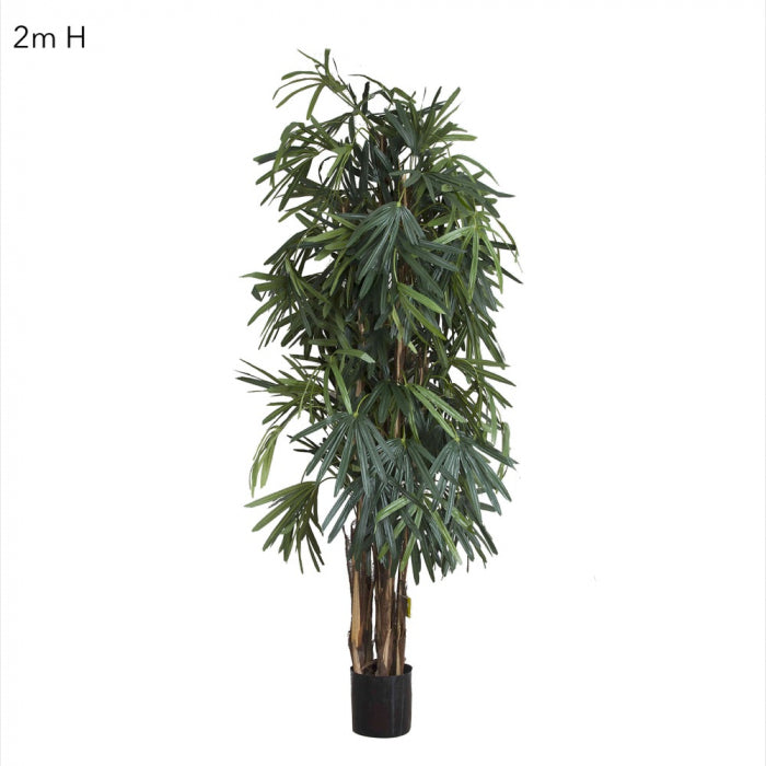 Artificial Raphis Palm (Thin Leaf) 2m - House of Isabella AU