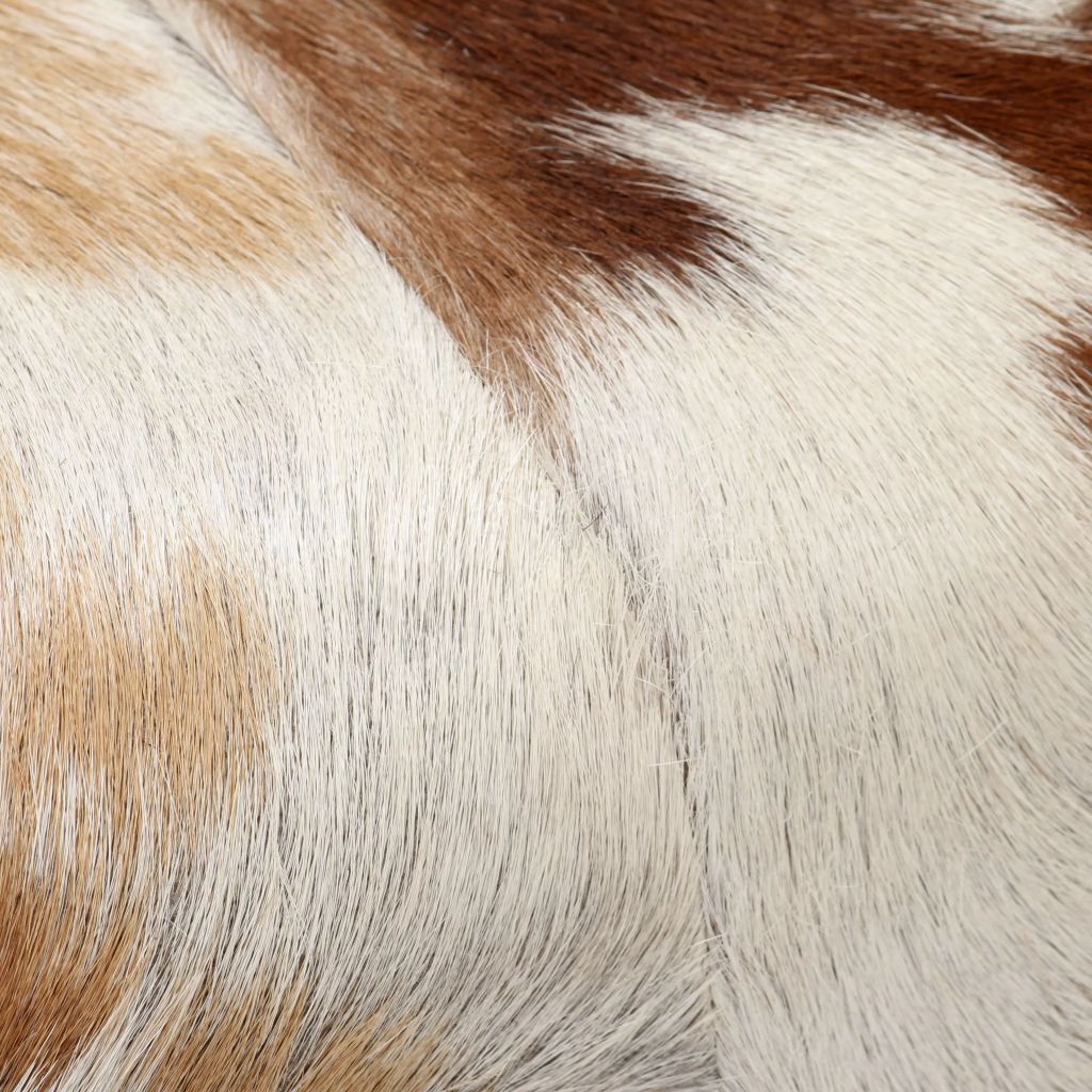 vidaXL Bench Genuine Goat Leather 160x28x50 cm - House of Isabella AU