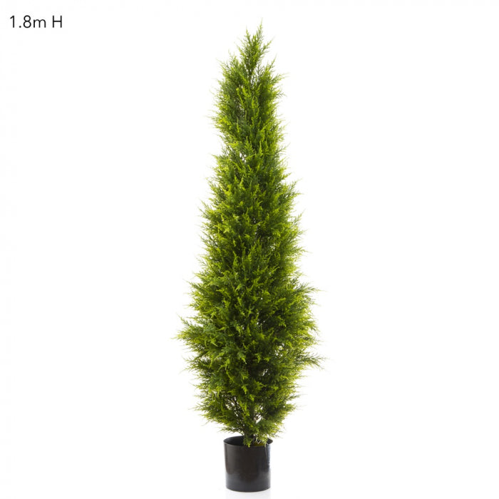 Artificial Cypress Pine 1.8m - House of Isabella AU