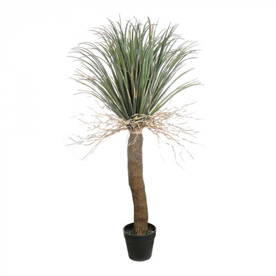 Artificial Grass Tree Lge - House of Isabella AU