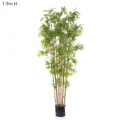 Artificial Japanese Bamboo Tree 1.9m - House of Isabella AU