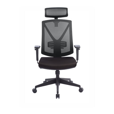 Mesh Ergonomic Office Chair with Headrest - Black