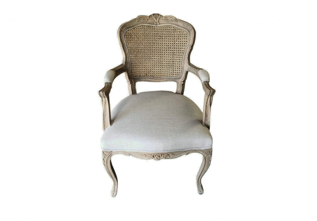 Jasie Rattan Back Fabric Armchair