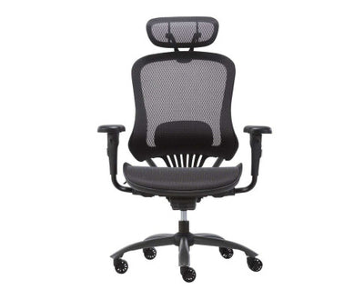 Mech Ergonomic Mesh Executive Chair with 2D Armrest