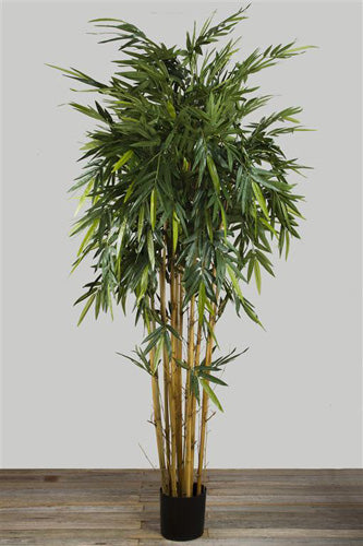 Artificial New Bamboo Tree 2.2m - House of Isabella AU