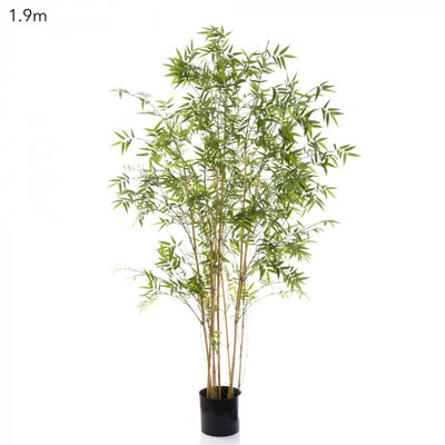 Artificial Oriental Bamboo Tree 1.9m - House of Isabella AU