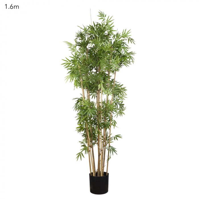 Artificial Japanese Bamboo Tree 1.6m - House of Isabella AU