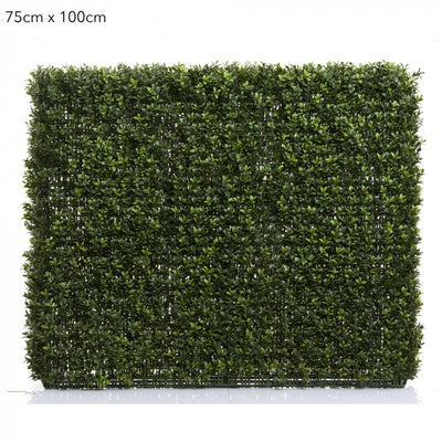 Artificial Boxwood Hedge 75x100cm - House of Isabella AU