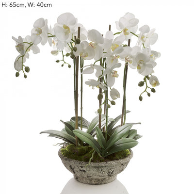 Artificial Orchid in Pot White - House of Isabella AU
