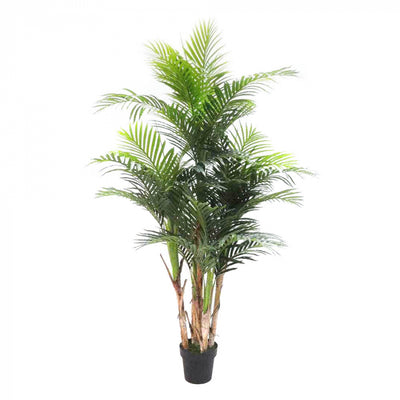 Artificial Areca Palm Real Touch 1.9m - House of Isabella AU