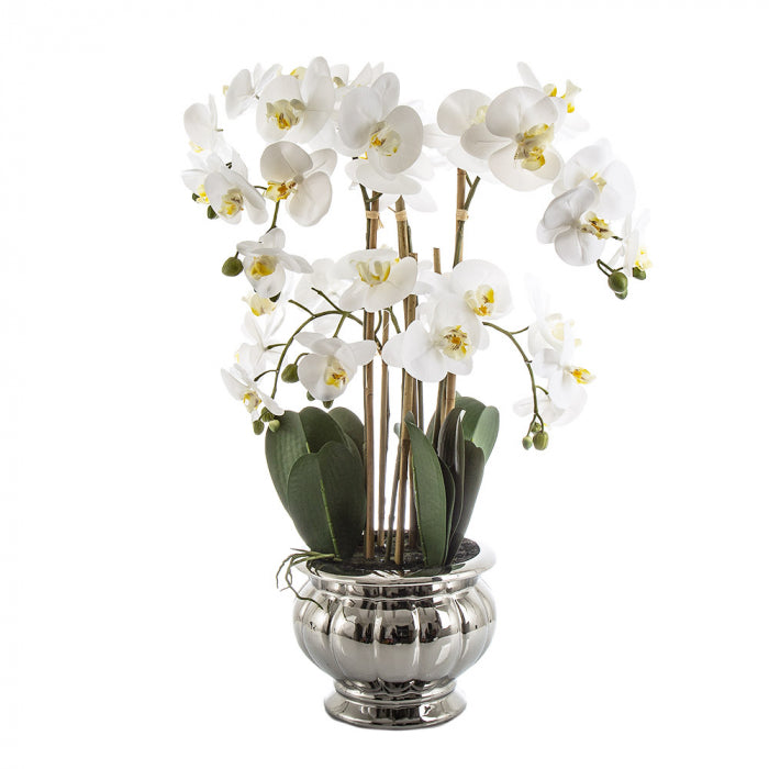 Artificial Potted Orchid in Silver Bowl Lge White - House of Isabella AU