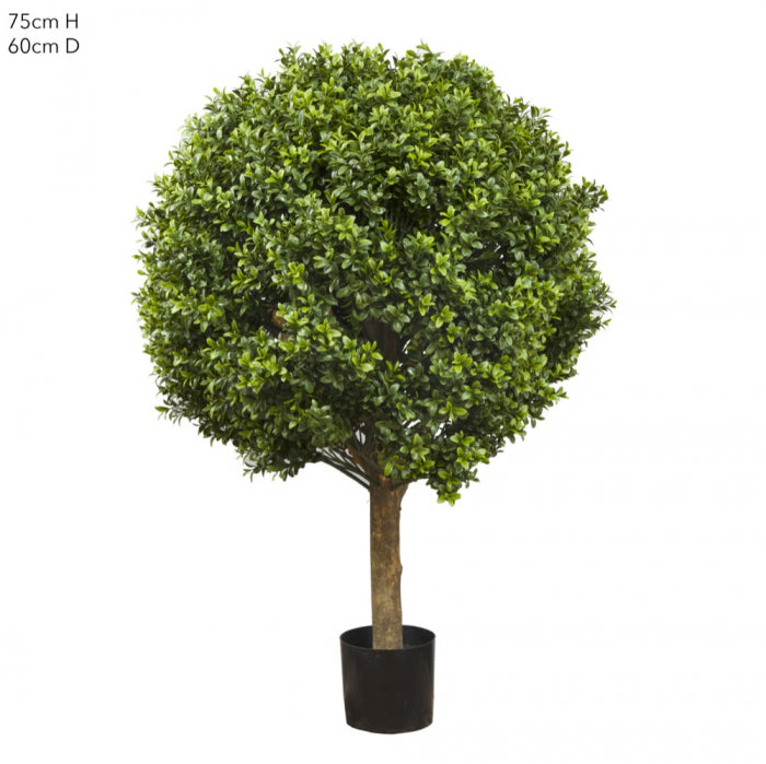 Artificial Boxwood Ball Tree 75cm (Dia 60cm) - House of Isabella AU